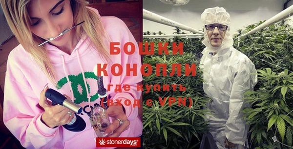 прущие грибы Беломорск