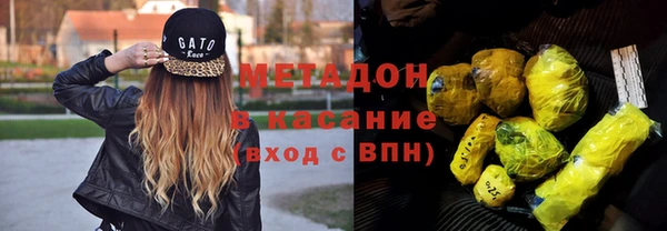 прущие грибы Беломорск