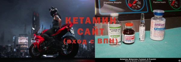 прущие грибы Беломорск