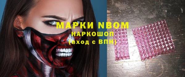 прущие грибы Беломорск