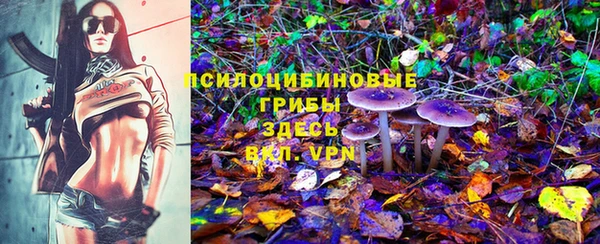 прущая мука Белоозёрский