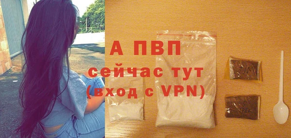прущие грибы Беломорск