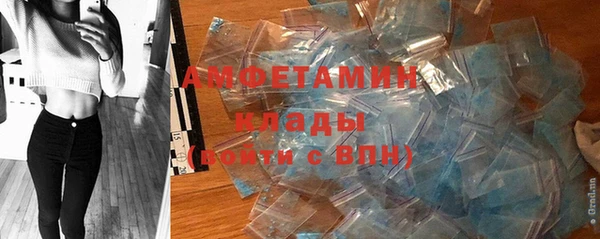 прущие грибы Беломорск
