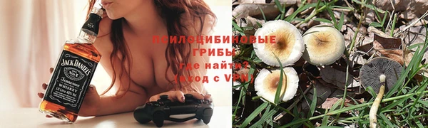 прущие грибы Беломорск