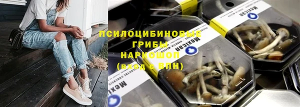 мяу мяу мука Белокуриха
