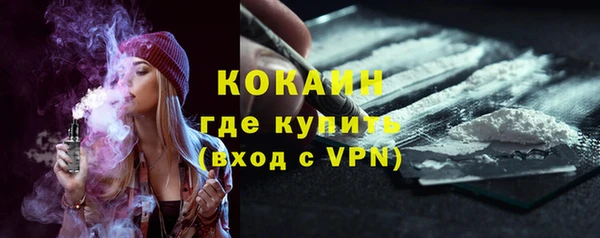 мяу мяу мука Белокуриха